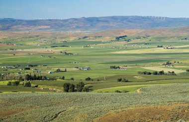 Ellensburg hills Batı Washington'da 