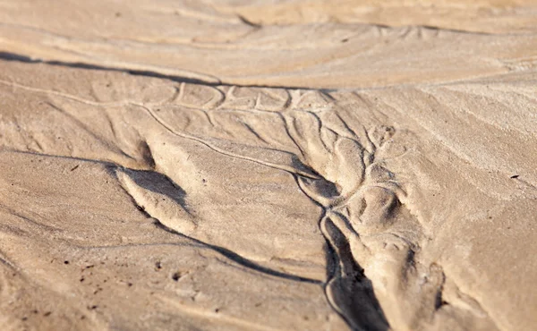 Surface Sable Après Pluie Avec Relief Formé Par Les Courants — Photo