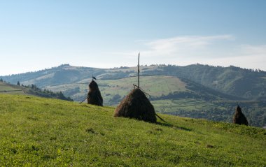 Yaz manzara samanlık üzerinde beyaz leylek duran ile Ukrayna Karpat Dağları.