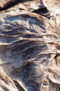 Buruşuk polietilenler kum. Yakın çekim.