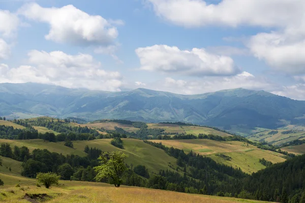 Zomer Landschap Oekraïense Karpaten — Stockfoto