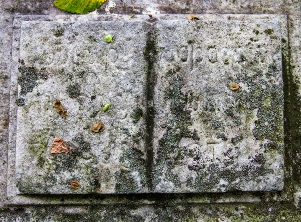 Sculptură de carte de piatră pe piatra funerară veche — Fotografie, imagine de stoc