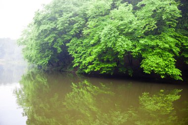 Yaz aylarında su manzara