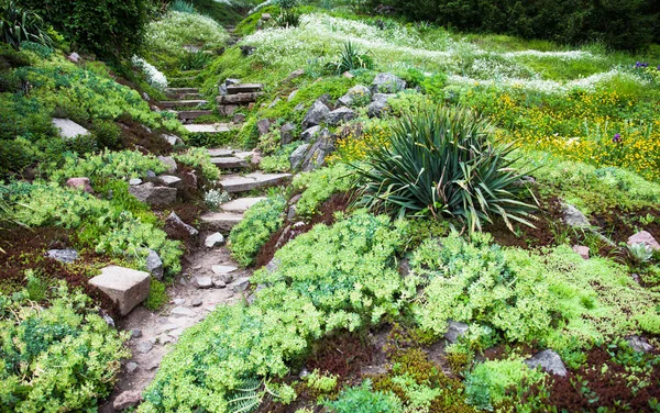 Chemin pierreux et escaliers dans le jardin verdoyant — Photo