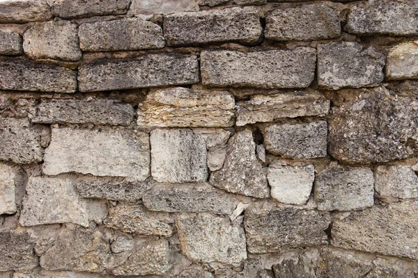 Masonry of coquina bricks — 图库照片