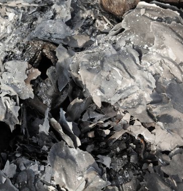 Site of fire. Ashes. 