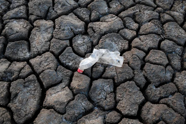 Wrinkled plastic bottle on the ground