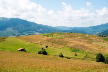 Ukrayna Karpatları 'nda manzara