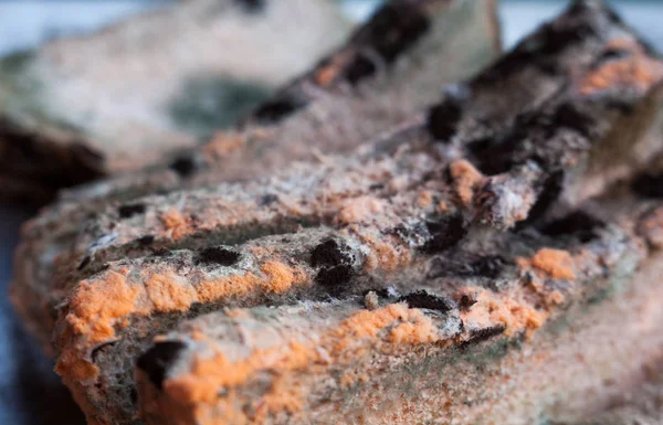 Mouldy (moldy) bread. Close-up. — Stock Photo, Image