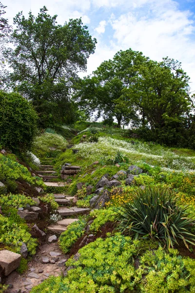 Πέτρινες σκάλες στον καταπράσινο κήπο — Φωτογραφία Αρχείου