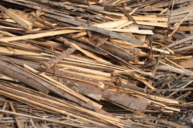 Ham plakalar iğne yapraklı ağaç yığını