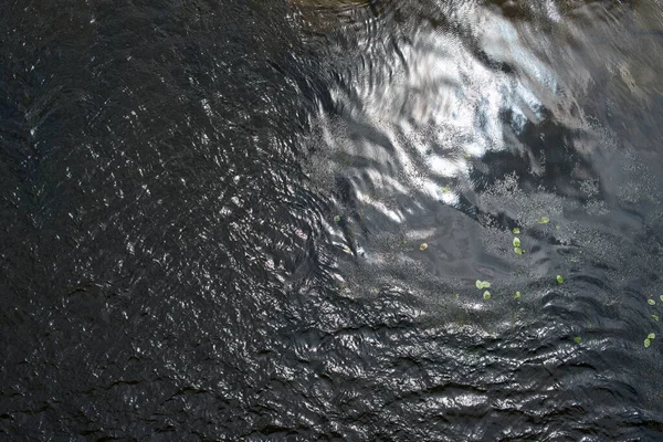Superfície de água com ondulações e plantas de água — Fotografia de Stock