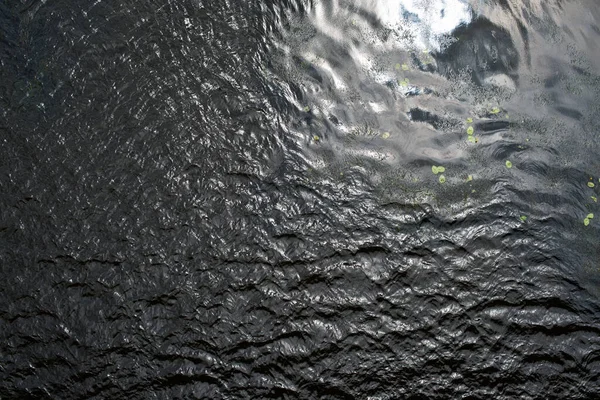 Superfície de água com ondulações e plantas de água — Fotografia de Stock
