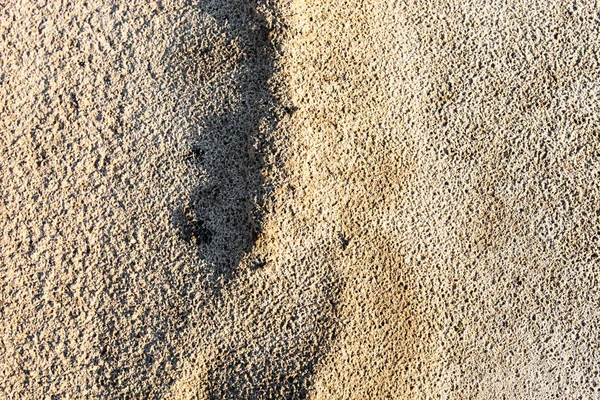 Sand surface after the rain — Stock Photo, Image
