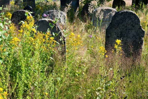 Old abandoned Jewish cemetery in the Ukrainian Carpathians — Stock Photo, Image