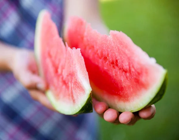 Woman holding tasty watermelon slices. — Stock Photo, Image