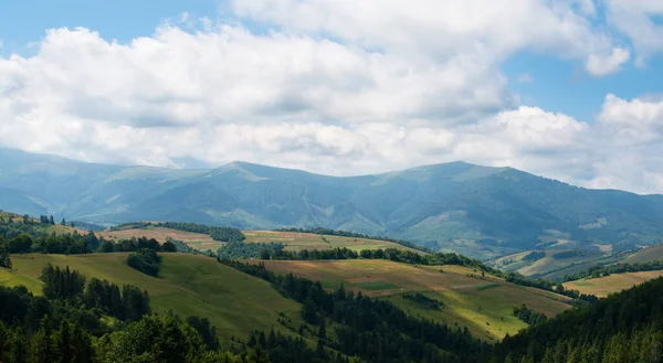 Landschap in de Oekraïense Karpaten — Stockfoto
