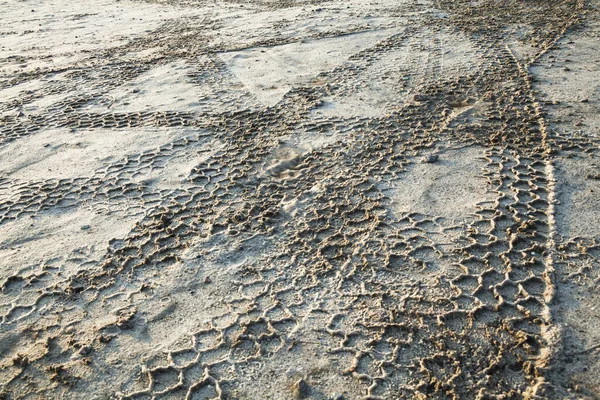 Колеса на песке — стоковое фото