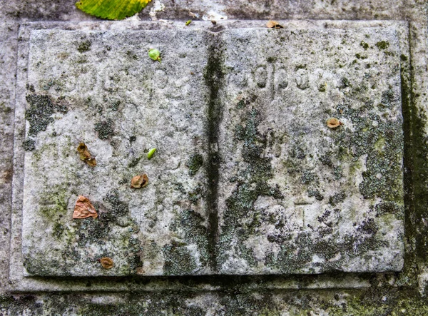 Sculptură Carte Piatră Piatra Funerară Veche — Fotografie, imagine de stoc