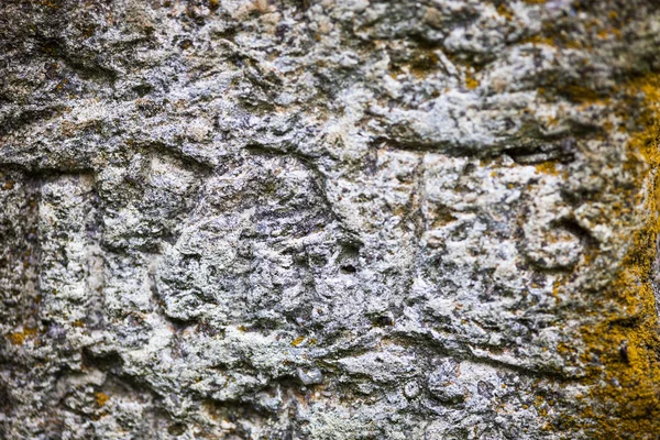 Superfície Cultivada Musgo Antiga Cruz Pedra Com Inscrições Eslavas Gravadas — Fotografia de Stock