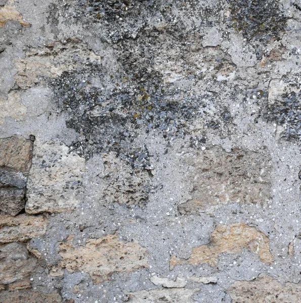 Vieux Mur Plâtré Texture Riche Variée — Photo