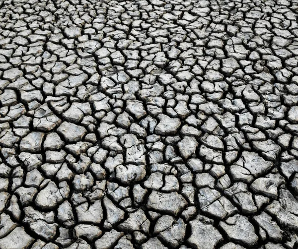 Cracked dry ground. Gray dry soil surface. Background or texture.