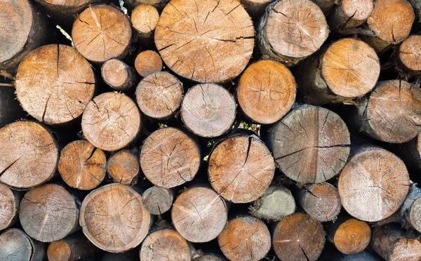 Falta Leña Bosque Madera Troncos Madera Para Invierno Fondos Madera — Foto de Stock