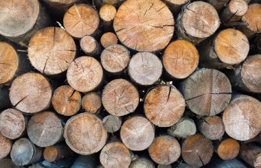 Yakacak odun yığını. Odun yığını. Tahta kütükler. Kış için odun. Yakacak odun arka planı. 