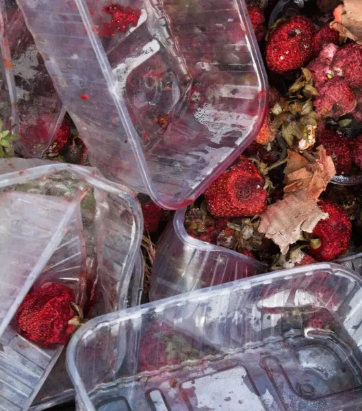 垃圾填埋场上腐烂的花园草莓 塑料容器和纸板箱 堆垃圾 — 图库照片