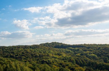 Sonbaharın başında bir orman. Ukrayna Bukovina bölgesi.
