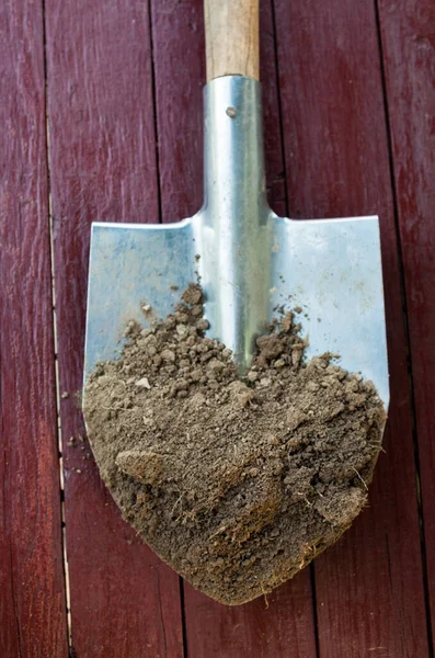 Metal Kürek Üzerindeki Kara Toprak Toprak Toprak Toprak Tarım Çiftçilik — Stok fotoğraf