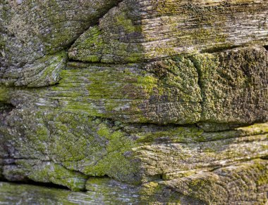 Eski ahşap evin köşesi. Kapatın. Ahşap doku.