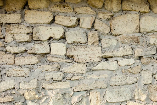 Coquina Duvar Kırık Kabukları Oluşan Tortul Kayaç Tuğla — Stok fotoğraf