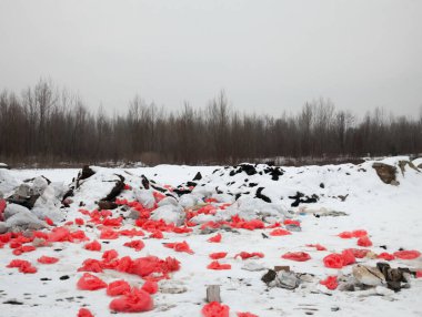 Kışın çöplükte çöp. Karda kırmızı plastik torbalar. Çevre kirliliği.