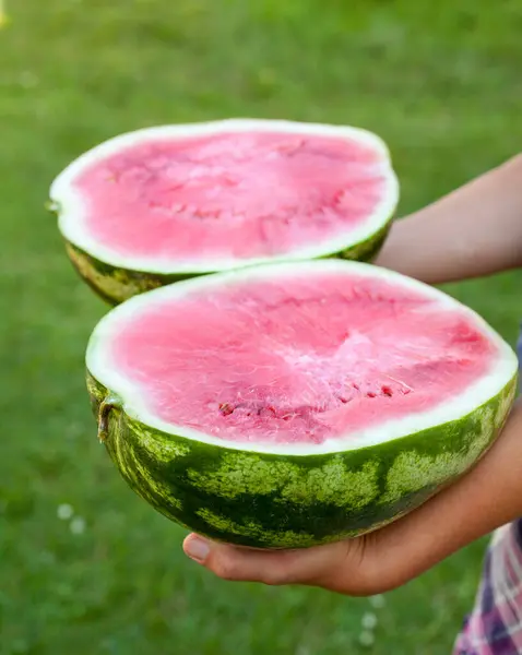 Hands Holding Watermelon Cut Halves Agriculture Farming Healthy Eating — Stock Photo, Image