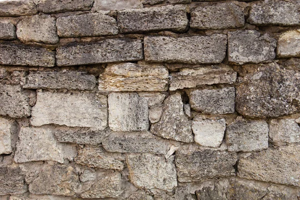 Massoneria Mattoni Cocco Roccia Sedimentaria Composta Conchiglie Rotte — Foto Stock