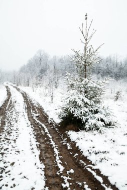 Kışın toprak yol. Karla kaplı tekerlek izleri. Kış manzarası.