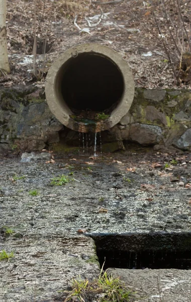 Concrete Run Pipe Discharging Water Drain Drainage Pipe — Stock Photo, Image
