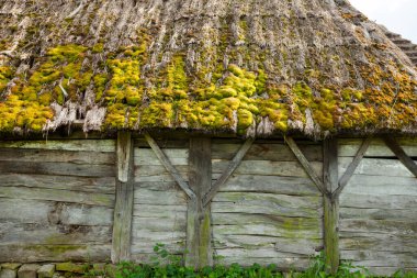 Eski ahşap kulübe, yosun yetiştirilmiş saman sazdan çatılı. Eski Ukrayna mimarisi.
