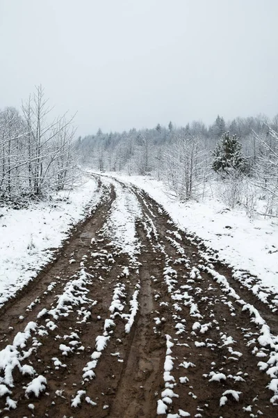 Kışın Toprak Yol Karla Kaplı Tekerlek Izleri Kış Manzarası — Stok fotoğraf