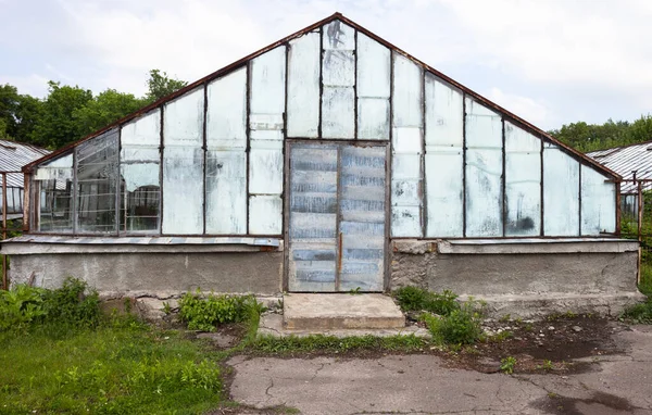 Old Partly Damaged Greenhouse Growing Plants — Stock Photo, Image