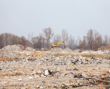 Sarı kazıcı şehir çöplüğünde çalışıyor.