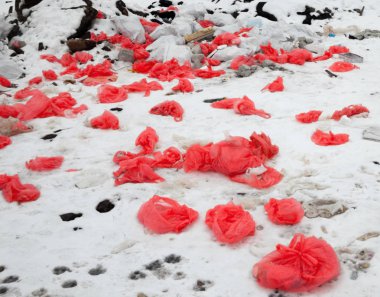 Kışın çöplükte çöp. Karda kırmızı plastik torbalar. Çevre kirliliği.
