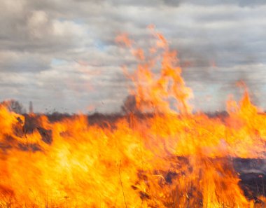 Sahadaki büyük yangın. Yakın plan..
