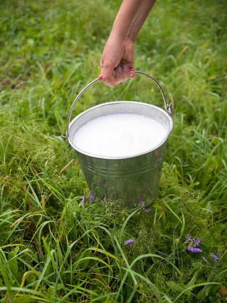 Sütçü Kızın Eli Metal Kovayı Taze Köpüklü Sütle Tutuyor Sütlü — Stok fotoğraf