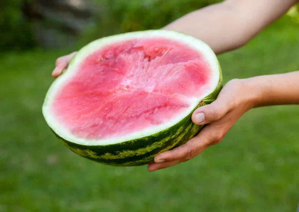 Hands Holding Half Watermelon Agriculture Farming Healthy Eating — Stock Photo, Image