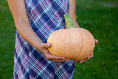 Büyük bir balkabağı tutan kadın. Zengin hasat. Tarım ve tarım.