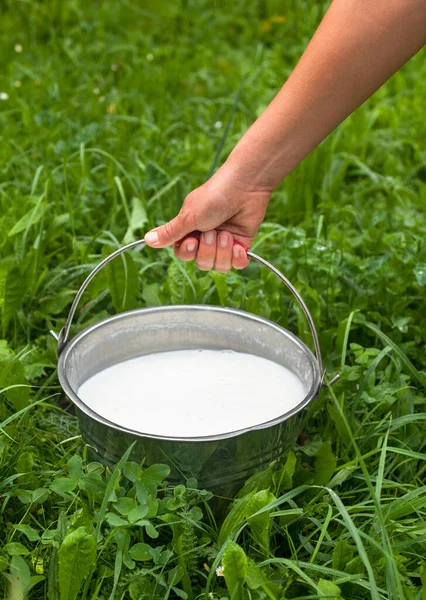 Sütçü Kızın Eli Metal Kovayı Taze Köpüklü Sütle Tutuyor Sütlü — Stok fotoğraf