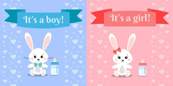 Illustration vectorielle avec lapin mignon et doux garçon et fille lapins et biberon . — Image vectorielle