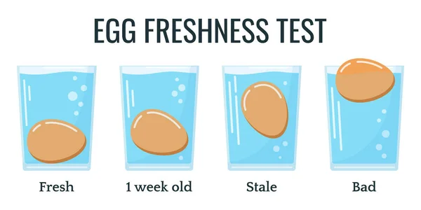 Eggs Floating Transparent Glass Water Isolated White Background Egg Freshness — Stock Vector